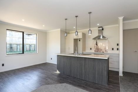 Photo of property in 17 Ribbonwood Close, Te Kauwhata, 3710