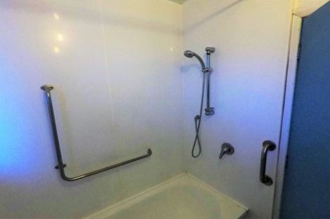 Photo of property in 20 Forth Street, Levin, 5510