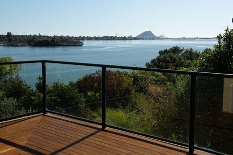 Photo of property in 48 Vine Avenue, Maungatapu, Tauranga, 3112