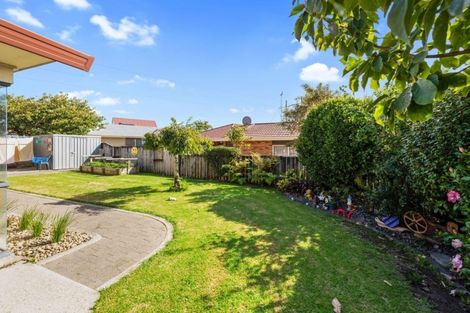 Photo of property in 17 Bayfair Drive, Mount Maunganui, 3116