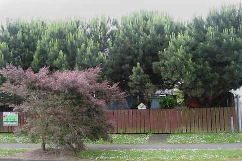 Photo of property in 43 Sharland Avenue, Manurewa, Auckland, 2102