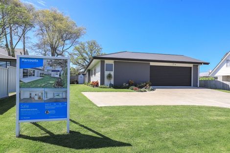 Photo of property in 14 Harlock Place, Huntly, 3700