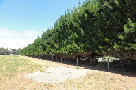 Photo of property in 204 Mount Brown Road, Broomfield, 7482