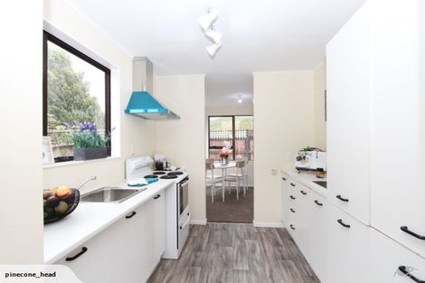 Photo of property in 297 Mitchell Street, Brooklyn, Wellington, 6021