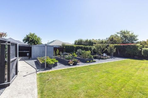Photo of property in 53 Belcher Street, Kaiapoi, 7630