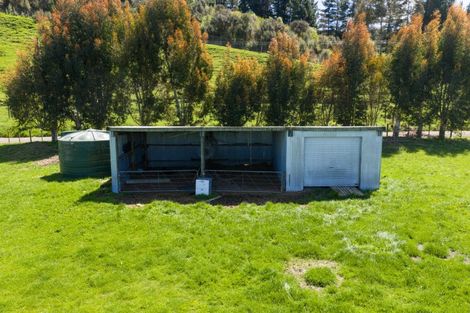 Photo of property in 946f Finnis Road, Pohangina, Ashhurst, 4884