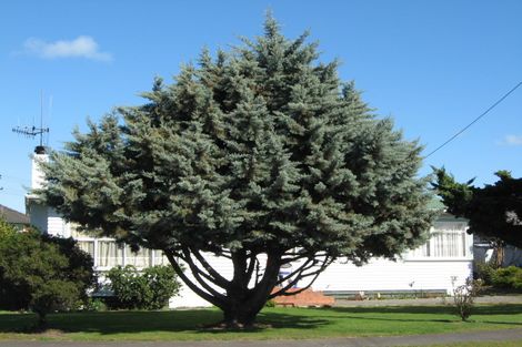 Photo of property in 3 Gordon Crescent, Marton, 4710