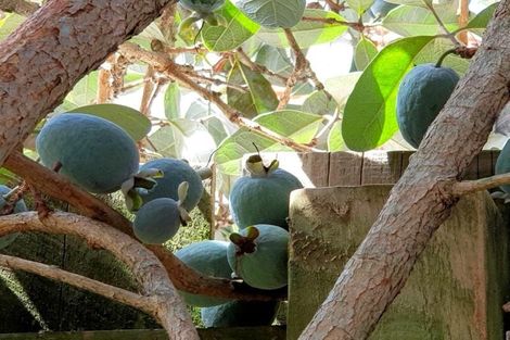 Photo of property in 26 Omagh Avenue, Papatoetoe, Auckland, 2025