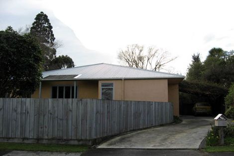 Photo of property in 1 Kereru Place, Masterton, 5810