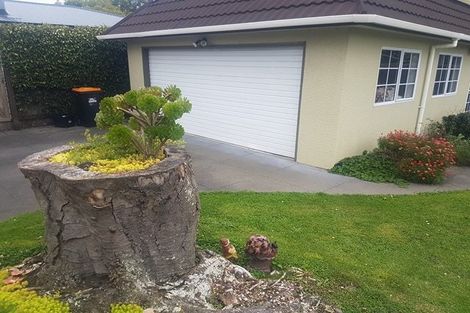 Photo of property in 296 College Street, West End, Palmerston North, 4410