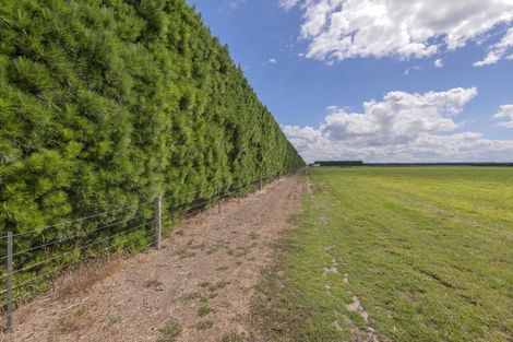 Photo of property in 1234 Highfield Road, Charing Cross, Christchurch, 7671