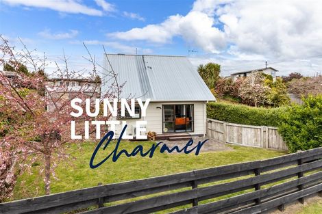 Photo of property in 73a Gillies Avenue, Taupo, 3330