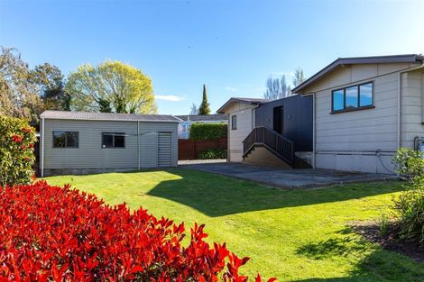 Photo of property in 15 Anglesea Street, Renwick, 7204