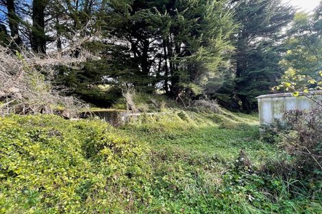 Photo of property in 38 Ruhi Road, Ormondville, Dannevirke, 4977