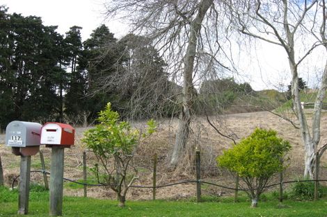 Photo of property in 117 Honi Taipua Street, Manakau, Levin, 5573