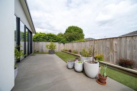 Photo of property in 11/7 Florence Street, Richmond, 7020