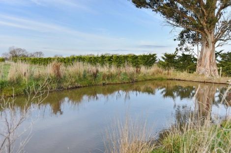 Photo of property in 663 Rangiora Leithfield Road, Sefton, Rangiora, 7477