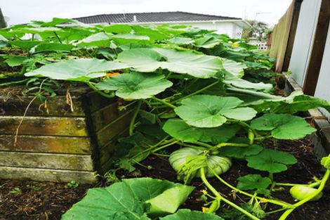 Photo of property in 4 Marybeth Place, Rosehill, Papakura, 2113