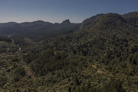 Photo of property in 800 The 309 Road, Waiau, Coromandel, 3581