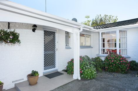 Photo of property in 26b Burns Street, Gate Pa, Tauranga, 3112