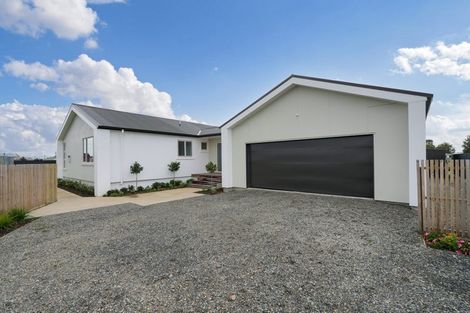 Photo of property in 38 Macandrew Street, Otautau, 9610