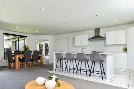 Photo of property in 10 Vantage Place, Flagstaff, Hamilton, 3210