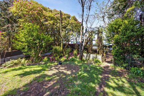 Photo of property in 17 Antonio Street, Stratford, 4332