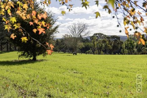 Photo of property in 408 Taupaki Road, Kumeu, 0892