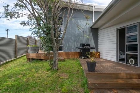 Photo of property in 59 Inkerman Street, Renwick, 7204