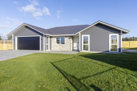Photo of property in 8 Neinei Place, Wharewaka, 3330