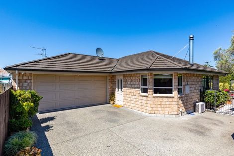 Photo of property in 111a Arthur Street, Blenheim, 7201