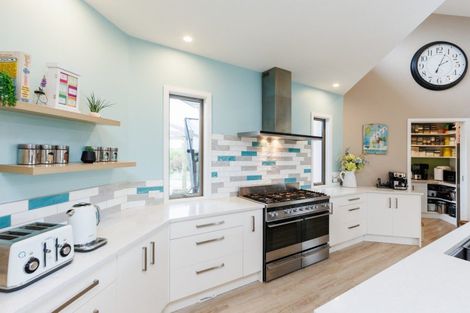 Photo of property in 249a Watershed Road, Bunnythorpe, Palmerston North, 4470