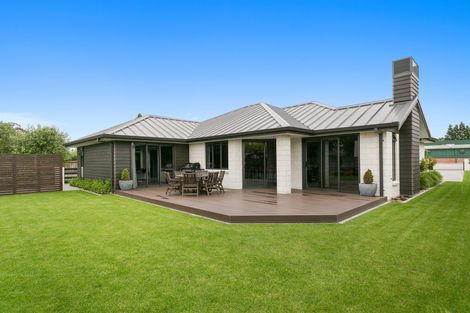 Photo of property in 11 Banks Road, Matamata, 3400