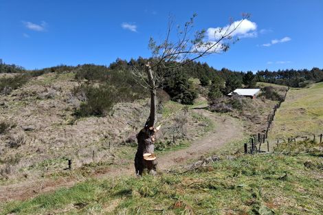 Photo of property in 27 Otake Road, Marotiri, Taupo, 3377