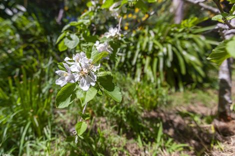 Photo of property in 54 Matai Road, Raumati South, Paraparaumu, 5032