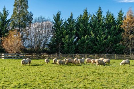 Photo of property in 130 School Road South, Mosgiel, 9092
