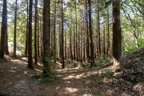 Photo of property in 89 Enfield Drive, Pakipaki, Hastings, 4172