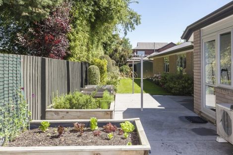 Photo of property in 43 Marble Wood Drive, Papanui, Christchurch, 8053