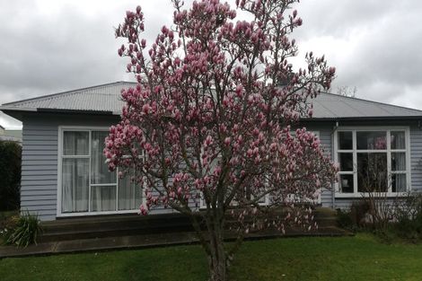 Photo of property in 15 Rugby Street, Waimate, 7924