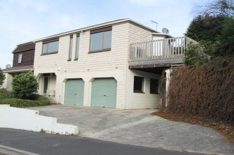 Photo of property in 36 Littlebourne Road, Roslyn, Dunedin, 9010