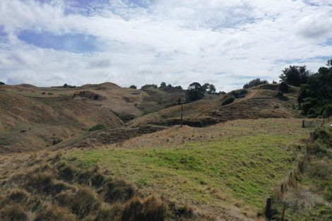 Photo of property in 1017 Waingaro Road, Glen Massey, 3793