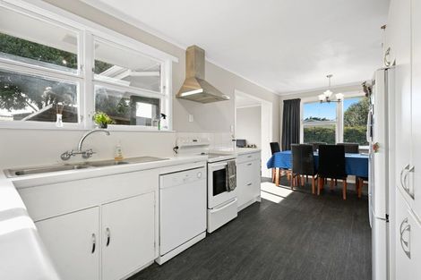 Photo of property in 21 Laurence Street, Queenwood, Hamilton, 3210