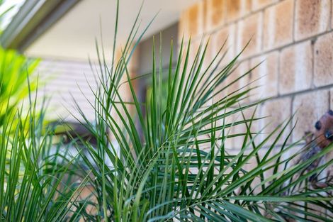 Photo of property in 12 Pharo Place, Ngaruawahia, 3720