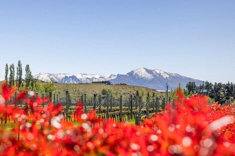 Photo of property in 90 Willowbank Road, Queensberry, Cromwell, 9383