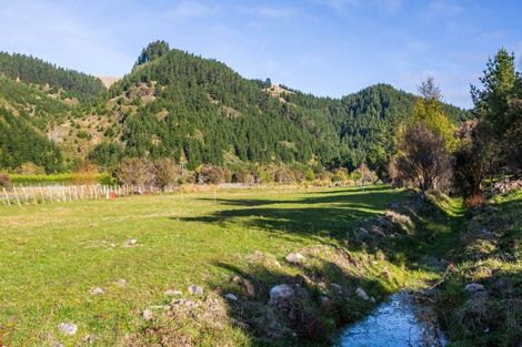 Photo of property in 132 Mount Holdsworth Road, Mount Holdsworth, Carterton, 5791