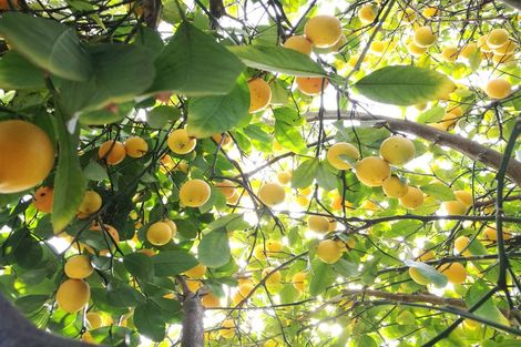 Photo of property in 37 Burwood Road, Burwood, Christchurch, 8083