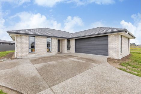 Photo of property in 92 Belgrove Drive, Waipukurau, 4200