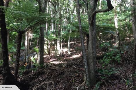 Photo of property in 16 Waikarekare Lane, Karekare, Auckland, 0772
