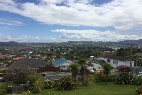 Photo of property in 17 Minto Street, Andersons Bay, Dunedin, 9013