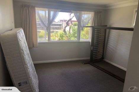Photo of property in 333 Hillsborough Road, Hillsborough, Auckland, 1042